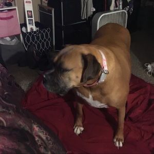 Meet your Posher, Mindy